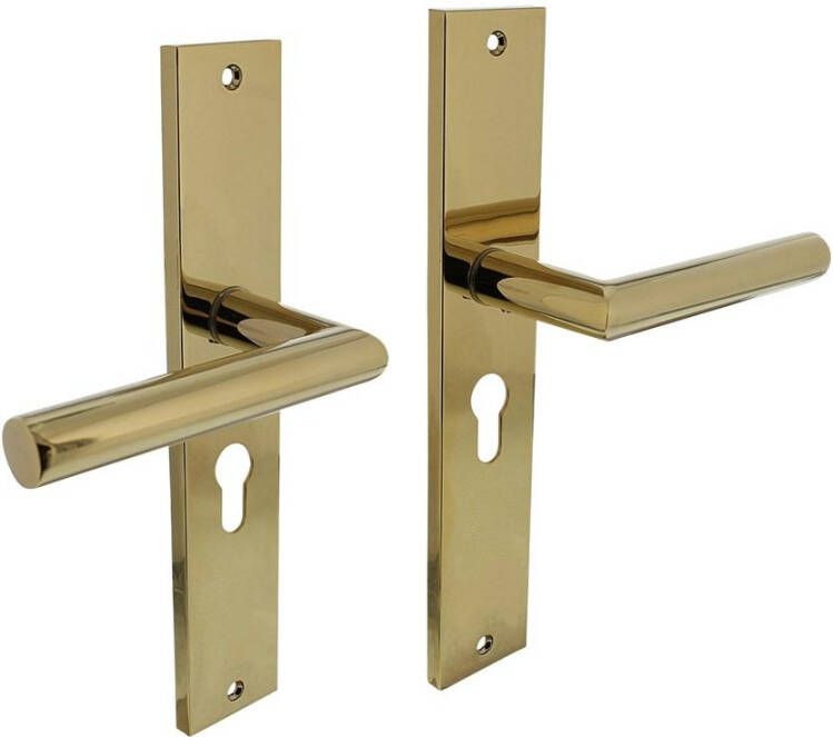 Intersteel Deurkruk Bastian op langschild 245x45mm profielcilindergat 55mm PVD messingkleur