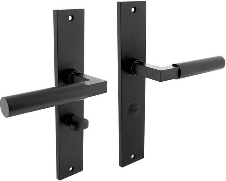 Intersteel Deurkruk baustil op geveerd schild dk baustil sch.