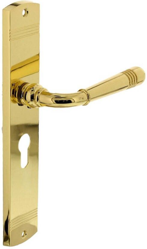 Intersteel Deurkruk Emily op langschild pc gat 55mm PVD messing