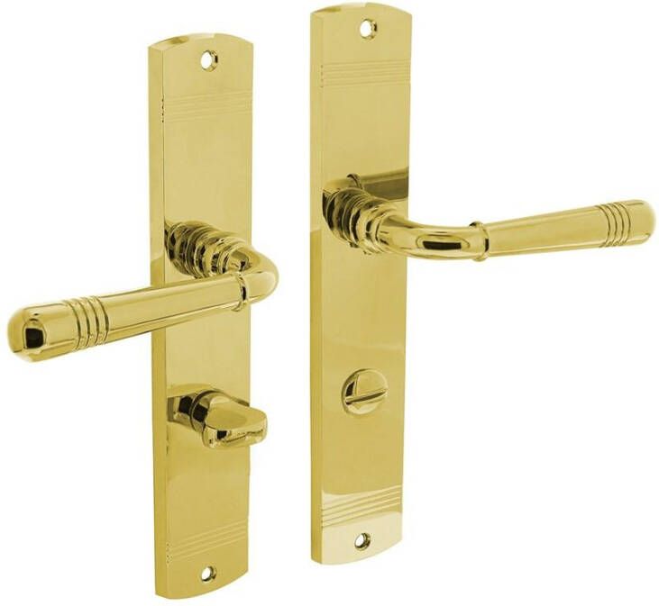 Intersteel Deurkruk Emily op langschild WC63 8mm PVD messing