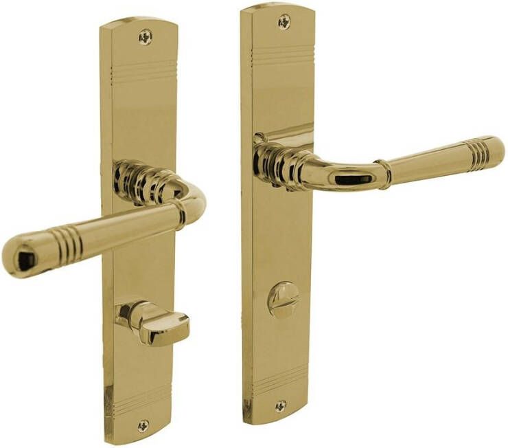 Intersteel Deurkruk Emily op langschild WC78 8mm PVD messing