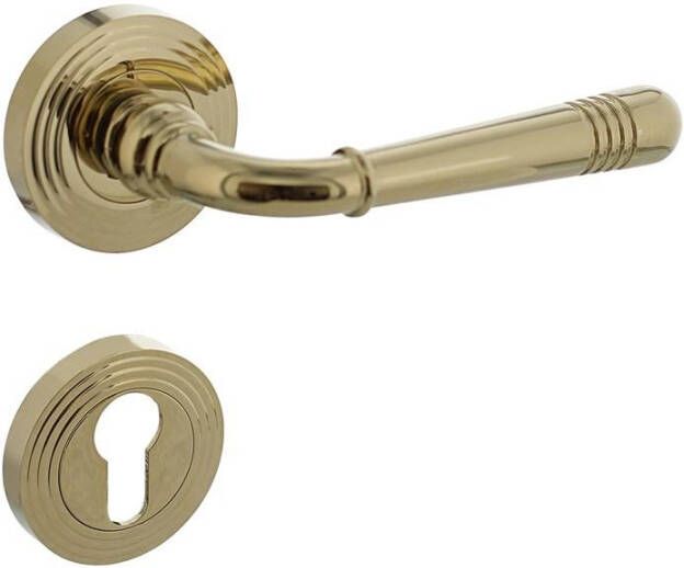 Intersteel Deurkruk Emily op rozet ø54x9mm met nokken en profielcilindergat plaatjes PVD messingkleur