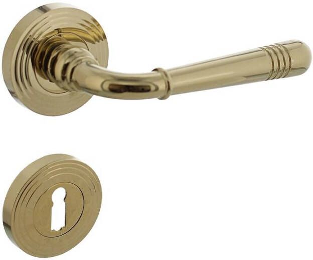 Intersteel Deurkruk Emily op rozet ø54x9mm met nokken en sleutelgat plaatjes PVD messingkleur