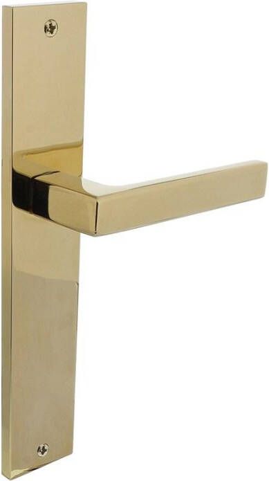 Intersteel Deurkruk Hera op langschild 245x45mm blind PVD messingkleur