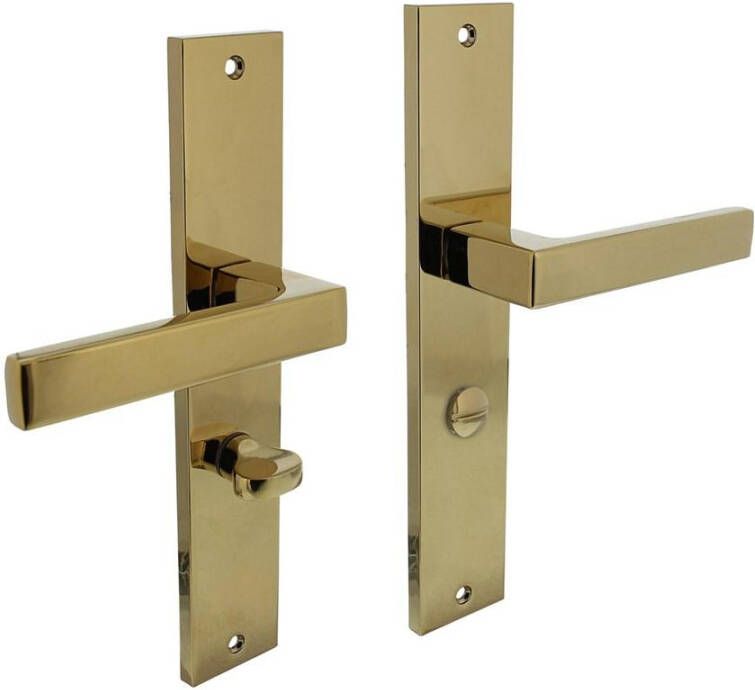 Intersteel Deurkruk Hera op langschild 245x45mm WC63 8mm PVD messingkleur