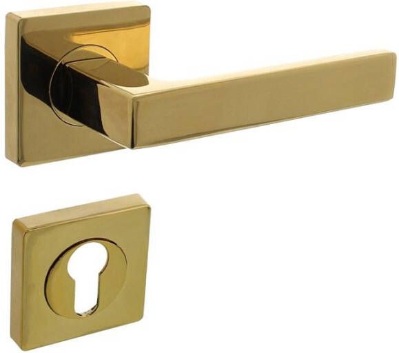 Intersteel Deurkruk Hera op vierkante rozet met nokken 55x55x10mm en profielcilindergat plaatjes PVD messingkle