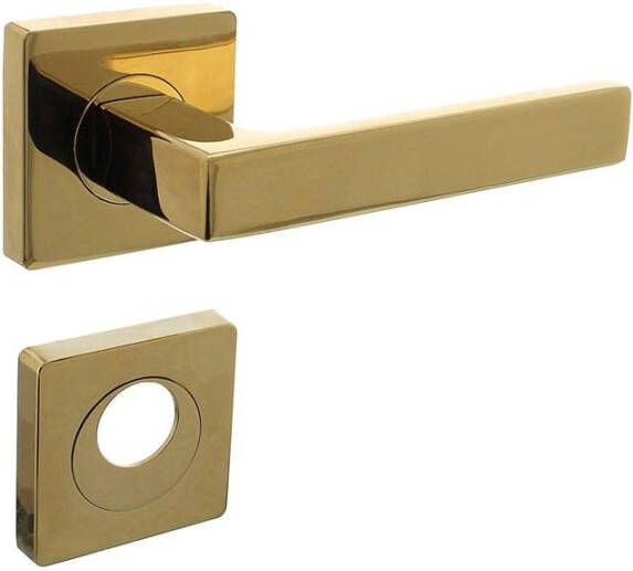 Intersteel Deurkruk Hera op vierkante rozet met nokken 55x55x10mm en rondcilindergat plaatjes PVD messingkleur