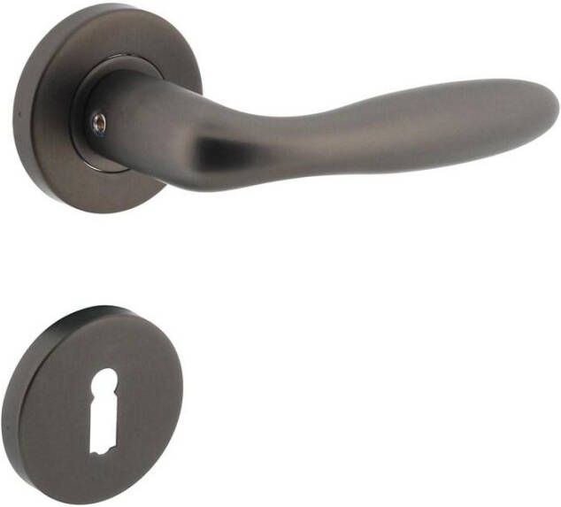 Intersteel Deurkruk Jupiter op geveerde stalen rozet met nokken ø53x8mm en sleutelplaatjes rvs antraciet-grijs