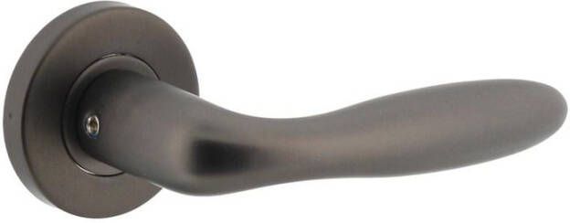 Intersteel Gatdeel rechts Jupiter op geveerde stalen rozet met nokken ø53x8mm rvs antraciet-grijs