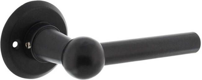 Intersteel Deurkruk L L bol met rozet ø50x5mm zwart