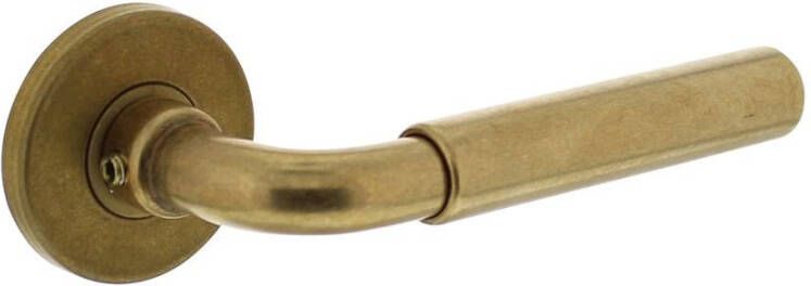 Intersteel Deurkruk Palma met rozet ø49x7mm verdekt messing getrommeld