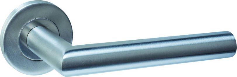 Intersteel Deurkruk Q 01 op rozet verdekt ø52x6mm rvs