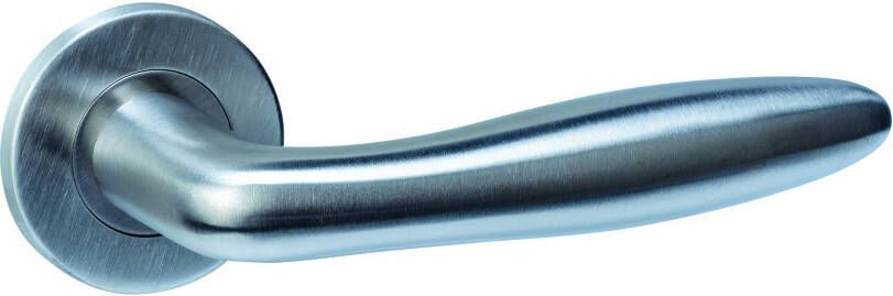 Intersteel Deurkruk Q 03 op rozet verdekt ø52x6mm rvs