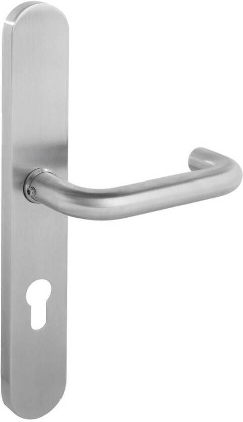 Intersteel Deurkruk Rond ø19mm op XL-schild verdekt 278x40x10 72mm profielcilindergat dubbelgeveerd RVS