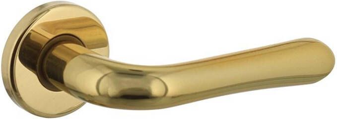 Intersteel Deurkruk Saturnus op rozet mess. gelakt