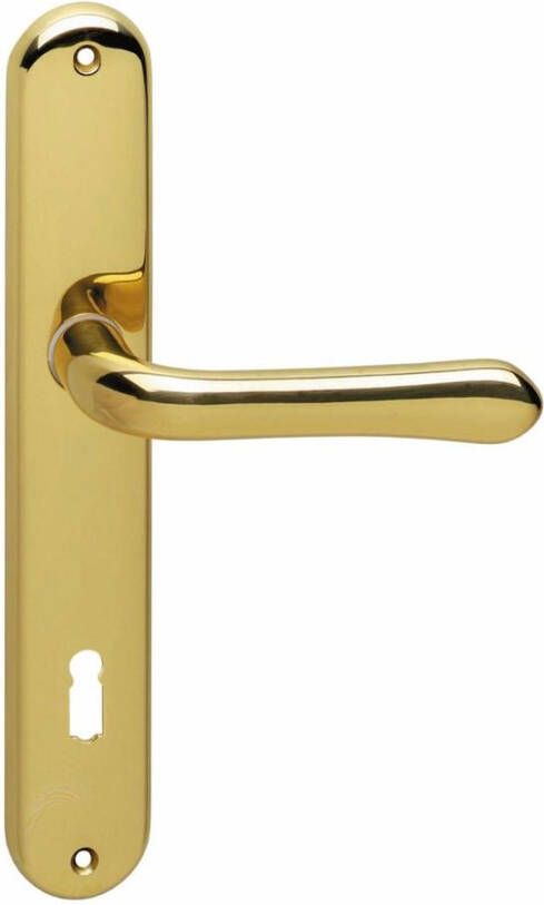 Intersteel Deurkruk Saturnus op schild ovaal 236x37mm sleutelgat 110mm messing gelakt