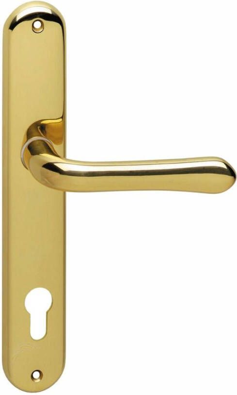 Intersteel Deurkruk Saturnus profielcilindergat 110mm messing gelakt