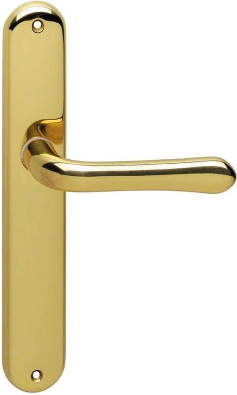 Intersteel Deurkruk Saturnus schild blind mess. gelakt