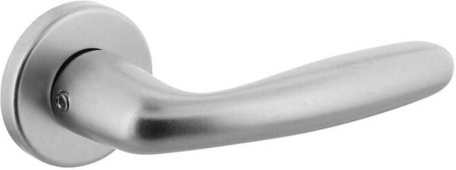 Intersteel Deurkruk Sigaar en rozet met nok aluminium F1