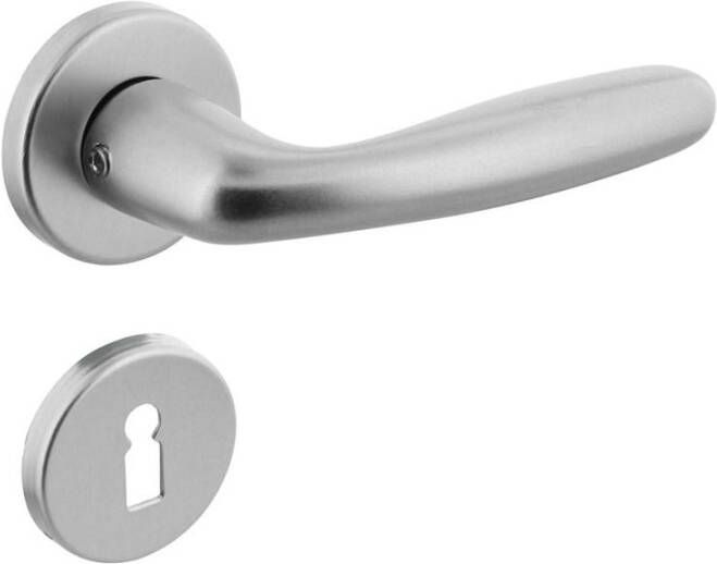 Intersteel Deurkruk Sigaar en rozet met nok met sleutelgat plaatje aluminium F1