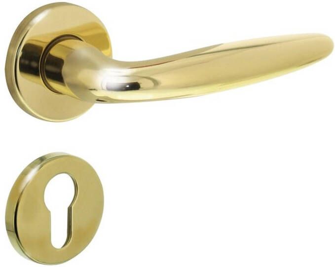 Intersteel Deurkruk Sigaar op rozet verdekt ø49x7mm en cilinderrozetten messing gelakt