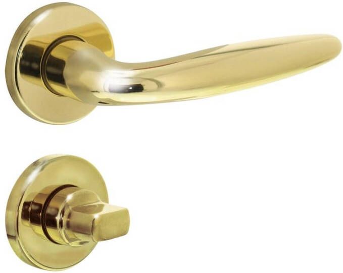 Intersteel Deurkruk Sigaar op rozet verdekt ø49x7mm en WC-sluiting met stift 8x8mm messing gelakt