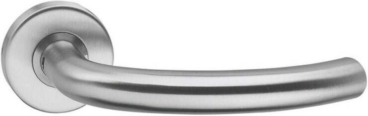 Intersteel Gatdeel half rond op rozet met ring met veer RVS