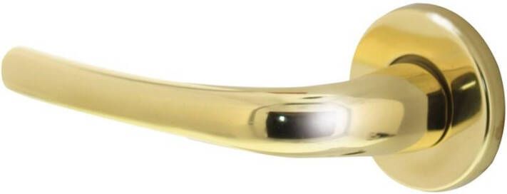 Intersteel Gatdeel links Cosmos op rozet messing gelakt