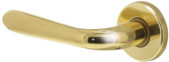 Intersteel Gatdeel links Jupiter op rozet messing gelakt