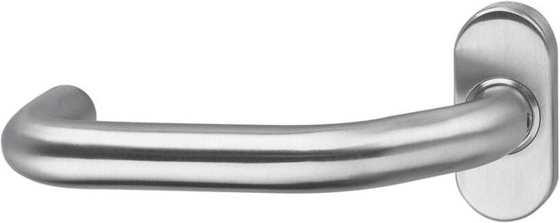 Intersteel Gatdeel Verkropt op rozet ovaal met veer RVS