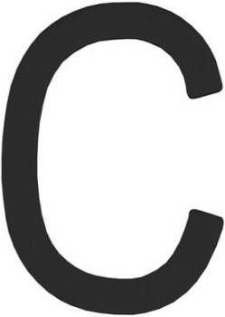 Intersteel Huisletter C 100mm rvs zwart