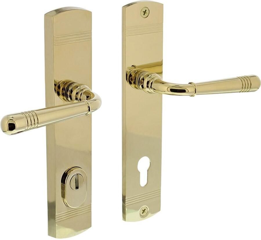 Intersteel Achterdeurbeslag Emily kruk kruk profielcilindergat 92mm met kerntrekbeveiliging PVD messingkleur