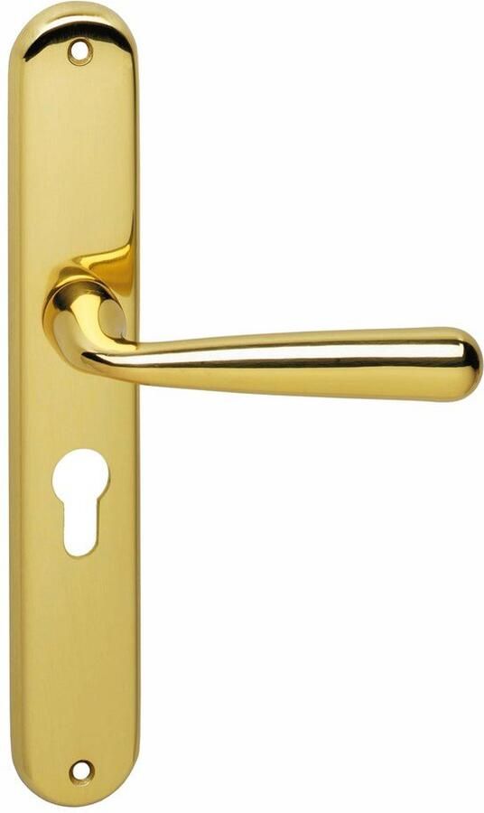 Intersteel Deurkruk Yvonne schild PC 55 mm mess. gelakt