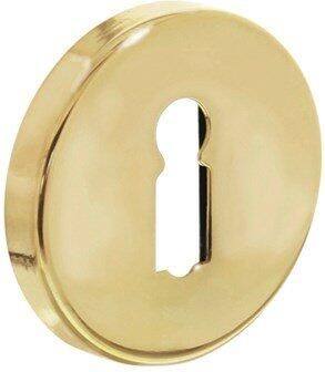 Intersteel Rozet sleutelgat rond verdekt mess. gelakt