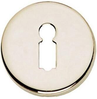 Intersteel Rozet sleutelgat rond verdekt nikkel