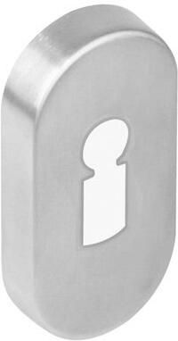 Intersteel Rozet sl.gat ovaal verdekt rvs geborst. 10 mm