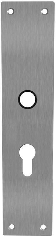 Intersteel Schild renovatie rechthoekig 250 x 55mm x 2mm PC55 RVS