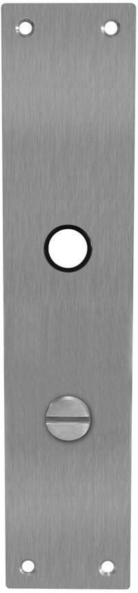 Intersteel Schild renovatie rechthoekig 250 x 55mm x 2mm WC78 8mm RVS