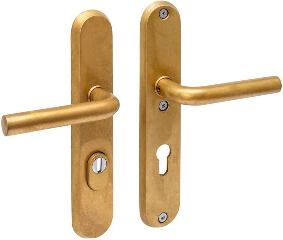 Intersteel SKG3 veiligh.beslag 250x50mm kruk kruk Luzern m.veerconstructie profielcil.gat 72mm PVD messing getr