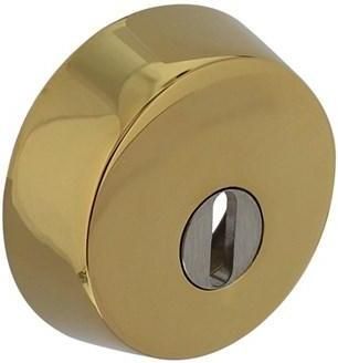 Intersteel SKG3 Veiligheid-rozet rond tbv oplegsloten met kerntrek beveiliging messing titaan PVD