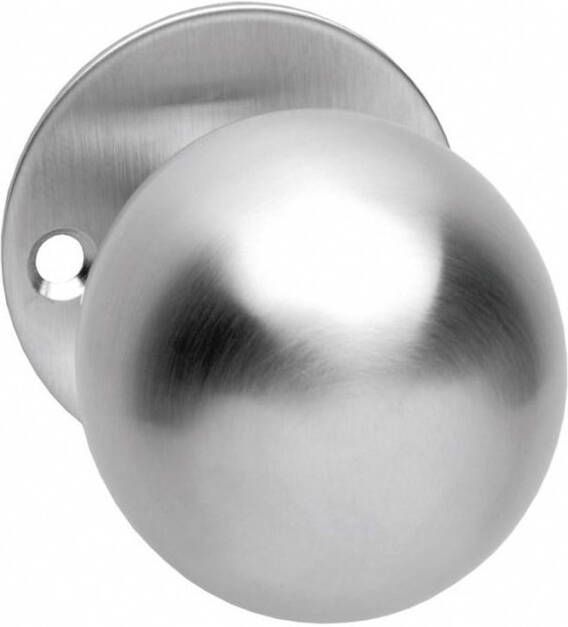 Intersteel Knop bol vast op rozet 2mm RVS
