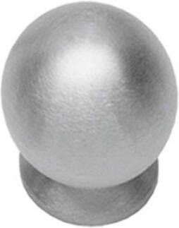Intersteel KNOP BOLROND 25MM RVS 35851021