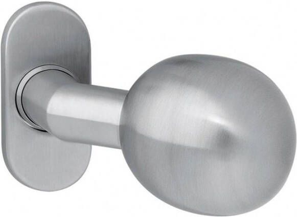 Intersteel Knop bol schuin vast op rozet ovaal 4mm RVS