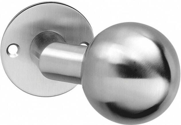 Intersteel Knop bol schuin vast op rozet plat 2mm RVS