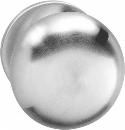 Intersteel Knop Paddenstoel vast op rozet verdekt 4mm RVS