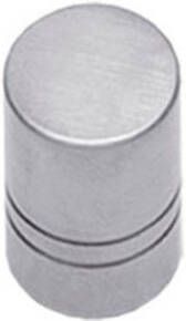 Intersteel KNOP RECHT 18MM RVS 35851014