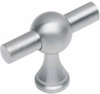 Intersteel KNOP T-VORM RVS 35851040