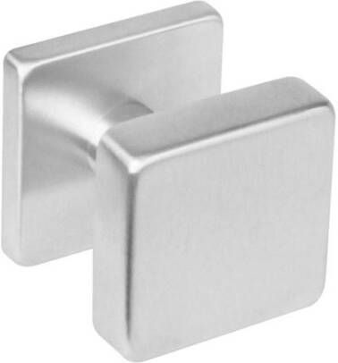 Intersteel Knop vierkant centraal rvs geborst.