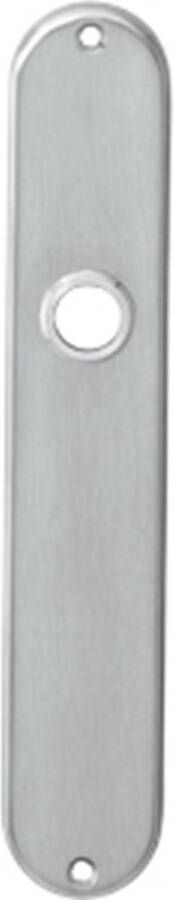 Intersteel Langschild ovaal 220x41mm v b-63 8 rvs