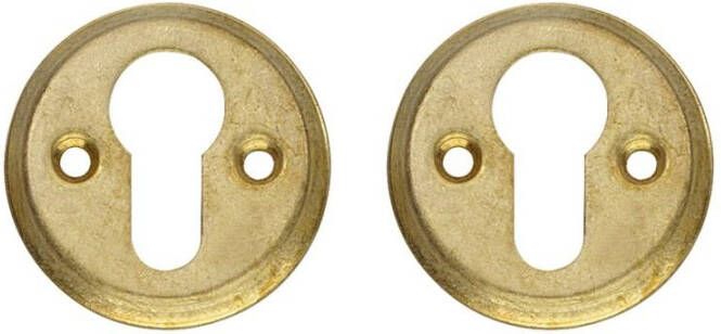 Intersteel Profielcilinderplaatje !50X5mm Mess Pc 50X5